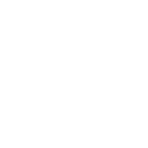 Partner Icon